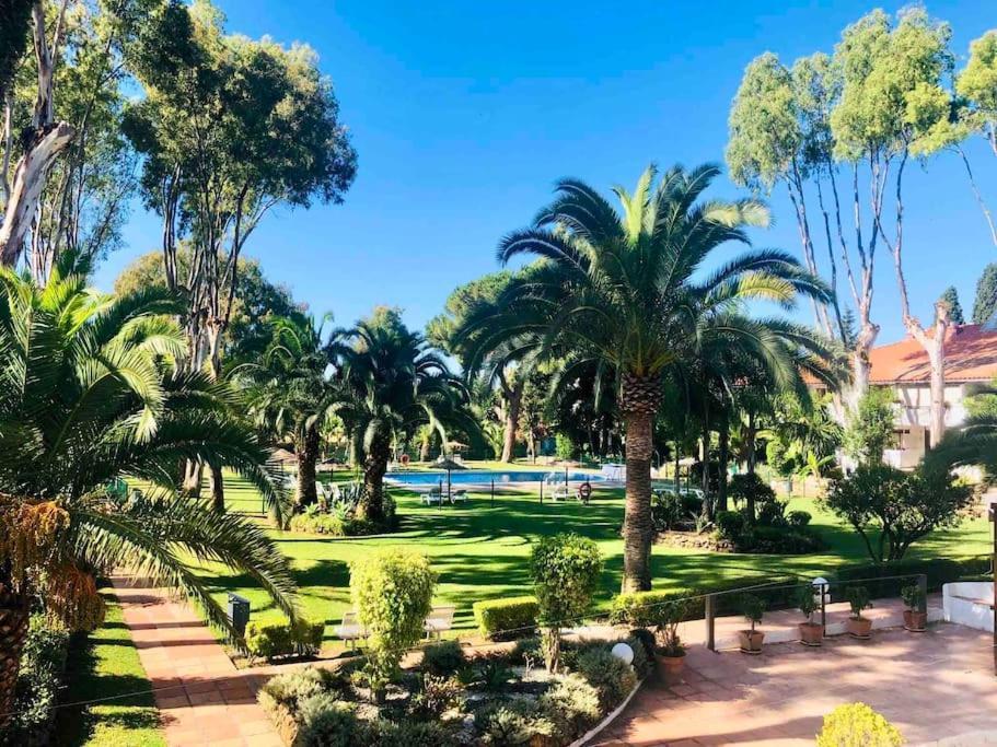Puerto Banus Eddie Suite マルベーリャ エクステリア 写真