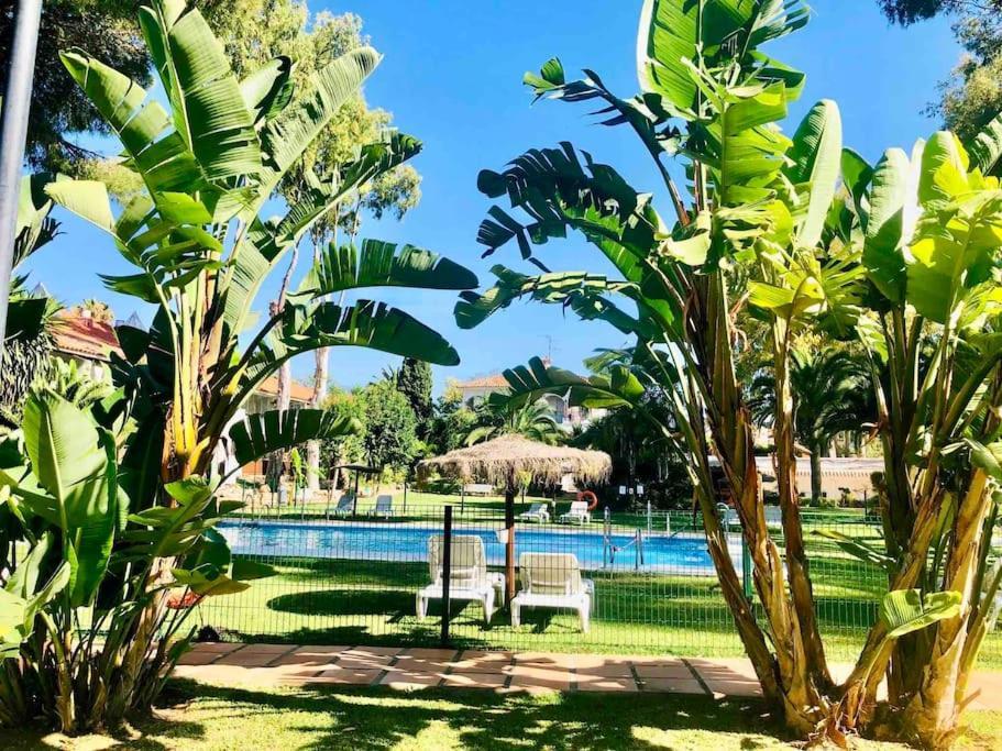 Puerto Banus Eddie Suite マルベーリャ エクステリア 写真